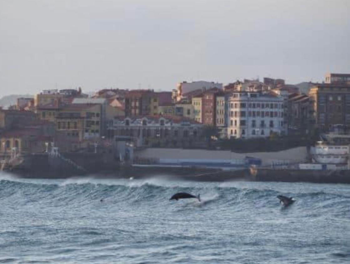 Alojamientos Muelle De Gijon Ngoại thất bức ảnh